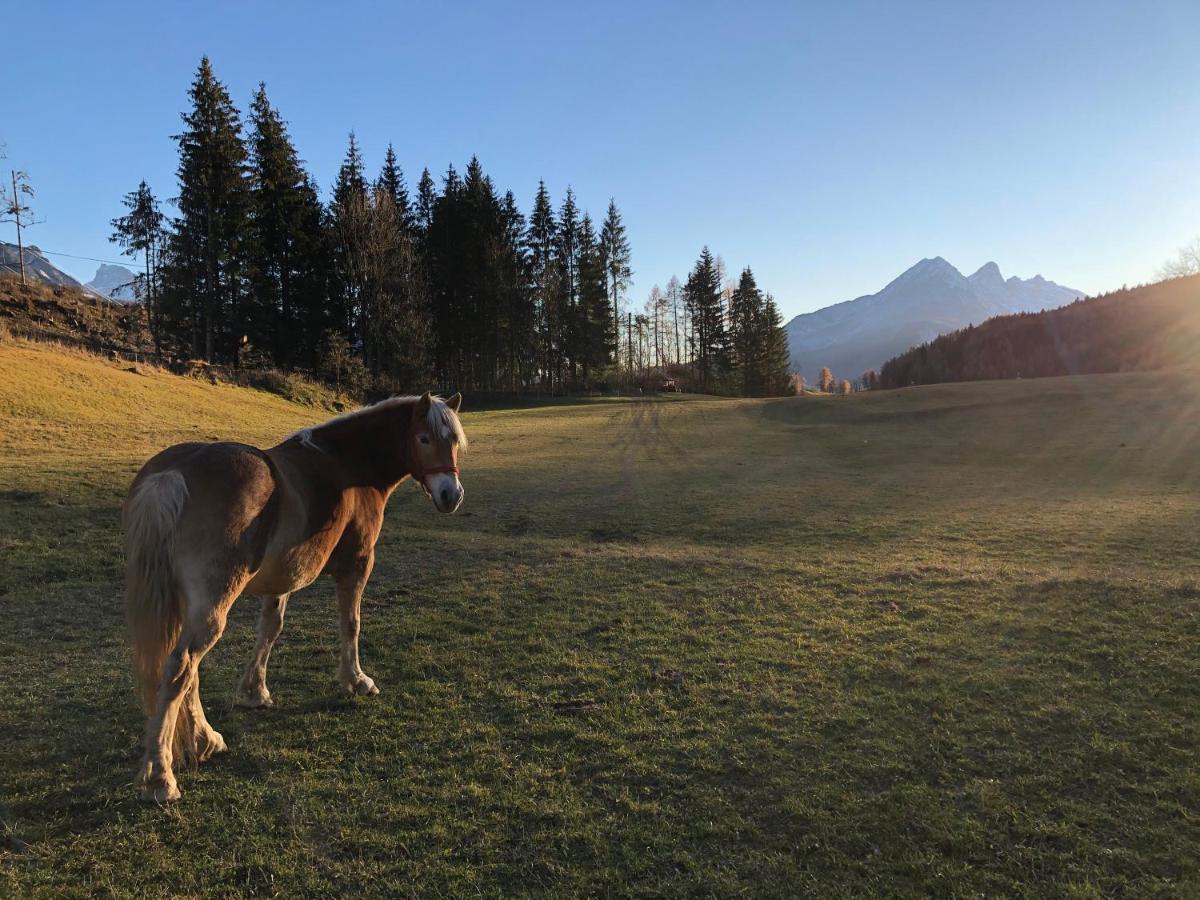Orizzonti Montani Lägenhet Pieve di Cadore Exteriör bild