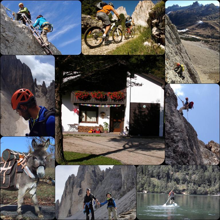 Orizzonti Montani Lägenhet Pieve di Cadore Exteriör bild
