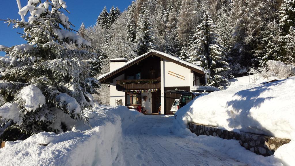 Orizzonti Montani Lägenhet Pieve di Cadore Exteriör bild